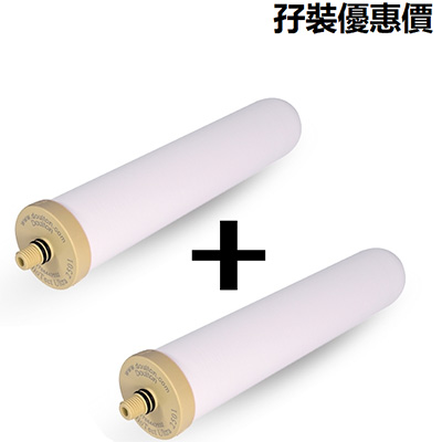 Doulton道爾頓BioTect Ultra BTU 2501 NSF 10吋矽藻瓷濾芯(2支組合價)(原廠行貨)